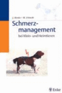 Schmerzmanagement