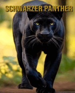 Schwarzer Panther: Interessante Fakten und Bilder ?ber Schwarzer Panther