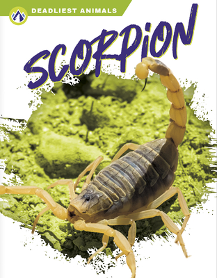 Scorpion - Hamby, Rachel