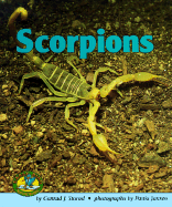 Scorpions - Storad, Conrad J