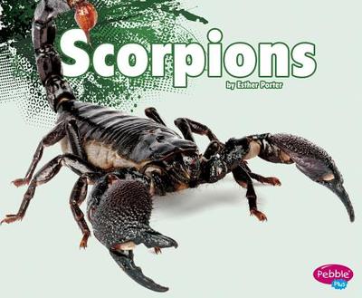 Scorpions - Porter, Esther