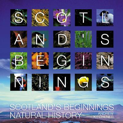 Scotland's Beginnings - Taylor, Michael