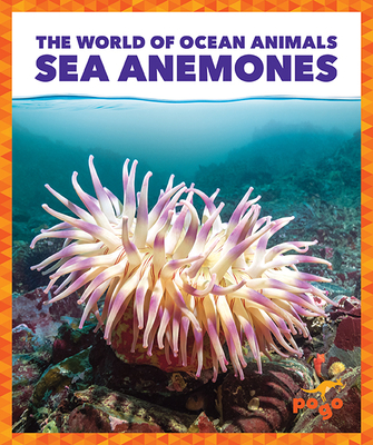 Sea Anemones - Zimmerman, Adeline J