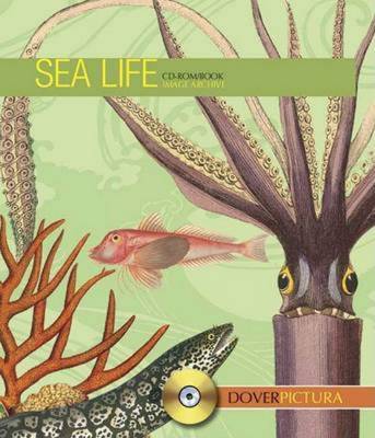 Sea Life - Dover Publications Inc