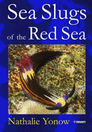 Sea Slugs of the Red Sea