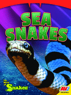 Sea Snakes