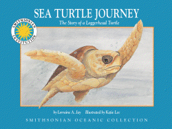 Sea Turtle Journey