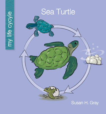 Sea Turtle - Gray, Susan H