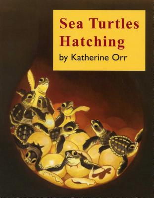 Sea Turtles Hatching - Orr, Katherine