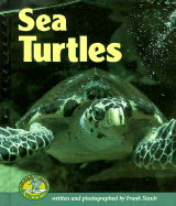 Sea Turtles - Staub, Frank