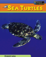 Sea Turtles - Laskey, Elizabeth