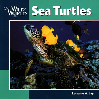 Sea Turtles - Jay, Lorraine