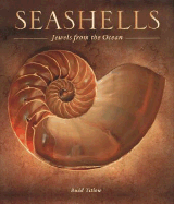 Seashells: Jewels from the Ocean - Titlow, Budd