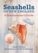 Seashells of New England: A Beachcomber's Guide