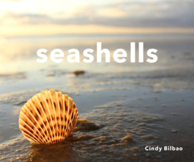 Seashells - Bilbao, Cindy