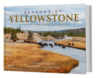 Seasons of Yellowstone: Yellowstone and Grand Teton National Parks - Mangelsen, Thomas D (Photographer), and Wilkinson, Todd (Text by), and Goodall, Jane (Foreword by)