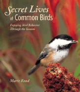 Secret Lives of Common Birds: Enjoying Bird Behavior Through the Seasons