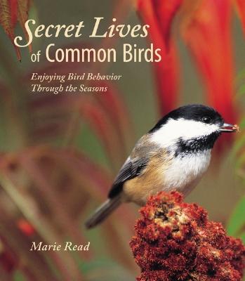 Secret Lives of Common Birds: Enjoying Bird Behavior Through the Seasons - Read, Marie