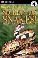 Secrets of Snakes - Stevens, Kathryn