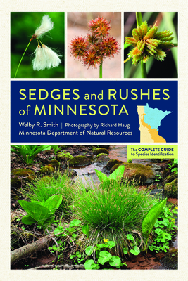 Sedges and Rushes of Minnesota: The Complete Guide to Species Identification - Smith, Welby R, and Haug, Richard (Photographer)