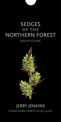 Sedges of the Northern Forest: Quick Guide - Jenkins, Jerry