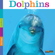 Seedlings: Dolphins