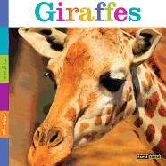 Seedlings: Giraffes