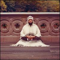 Segue to Infinity - Laraaji