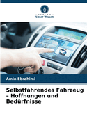 Selbstfahrendes Fahrzeug - Hoffnungen und Bedrfnisse