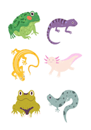 Self-awareness & Gratitude Journal for Children (Reptiles)