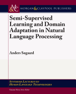 Semi-Supervised Learning and Domain Adaptation in Natural Language Processing