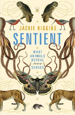 Sentient: What Animals Reveal About Our Senses - Higgins, Jackie