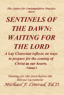 Sentinels of the Dawn: Waiting for the Lord: A Lay Cistersian reflects on ways to prepare for the coming of the Lord in our hearts.