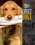 Service Dogs