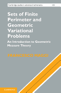 Sets of Finite Perimeter and Geometric Variational Problems: An Introduction to Geometric Measure Theory