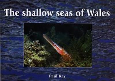 Shallow Seas of Wales - Kay, Paul
