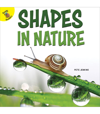 Shapes in Nature - Jenkins