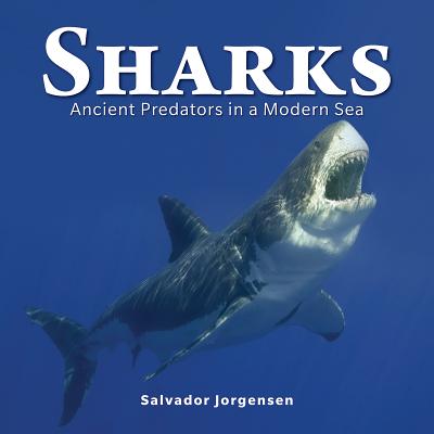 Sharks: Ancient Predators in a Modern Sea - Jorgensen, Salvador, PhD