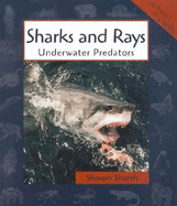Sharks and Rays: Underwater Predators