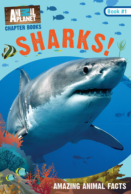 Sharks!: Book #1 - Animal, Planet,,Lori,Stein