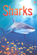 Sharks: Information for Young Readers - Level 1