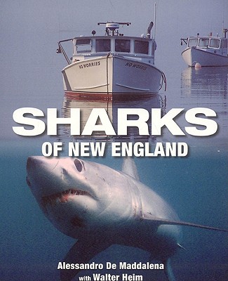 Sharks of New England - Maddalena, Alessandrao De