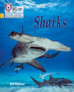 Sharks: Phase 5 Set 1