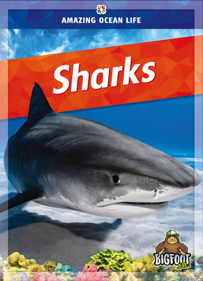 Sharks - Sexton, Colleen