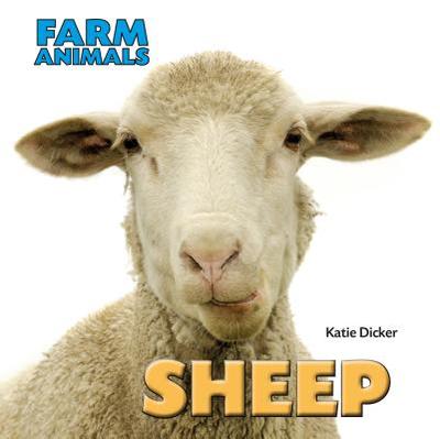 Sheep - Dicker, Katie