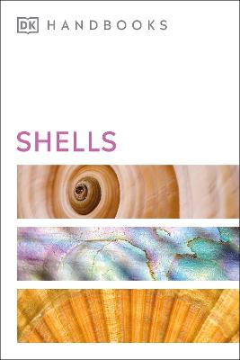 Shells - Dance, S. Peter