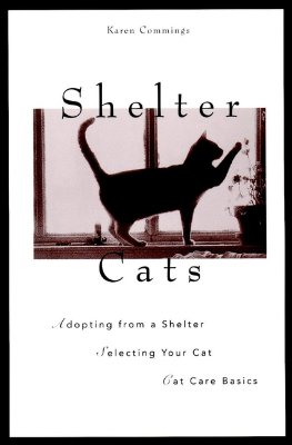 Shelter Cats - Commings, Karen