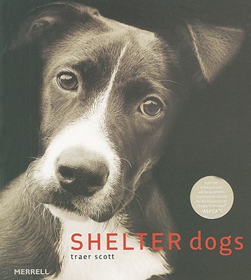 Shelter Dogs - Scott, Traer