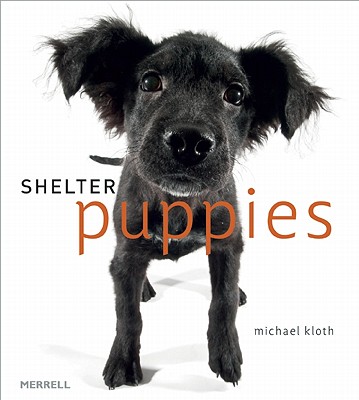 Shelter Puppies - Kloth, Michael