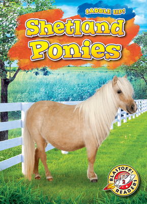 Shetland Ponies - Grack, Rachel